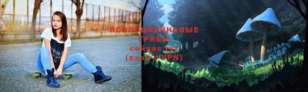 бутират Алексеевка