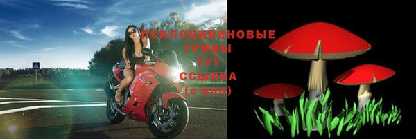бутират Алзамай