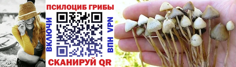 Псилоцибиновые грибы мухоморы  Купить где  Междуреченск 